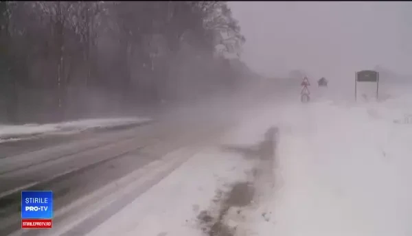 Vreme rea în toată ţara. Copaci căzuţi şi trenuri blocate în urma ninsorilor abundente