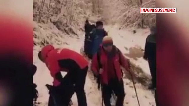 Bătrân, căutat de autorități de două zile. El a dispărut într-o pădure din Caraș Severin