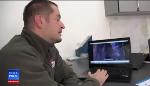 Un pui de urs a agonizat câteva ore, după ce a rămas blocat într-un lanț