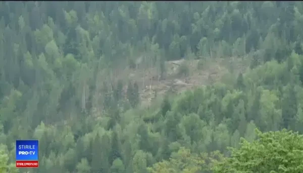 Român plecat la muncă în Italia, găsit decapitat într-o pădure din Catania