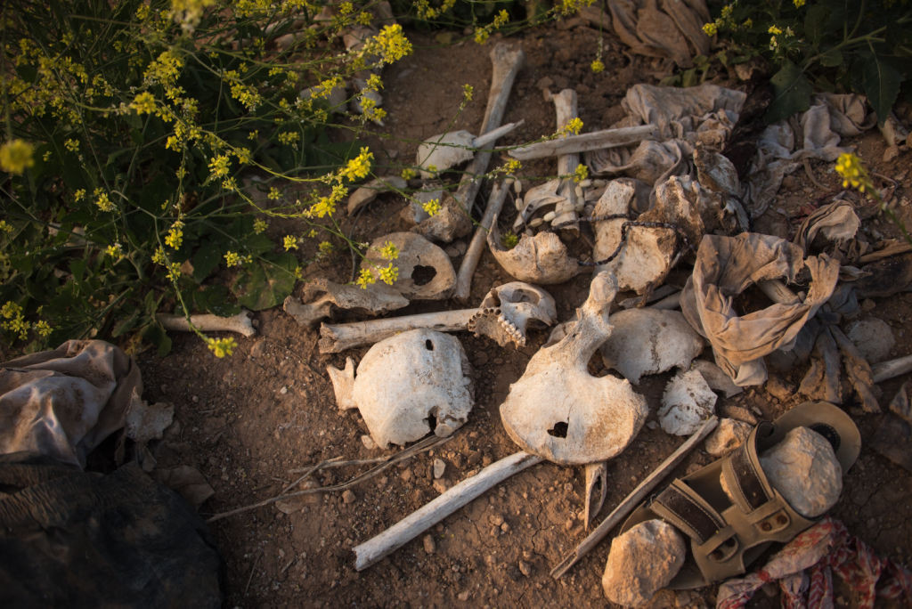 Gropi comune cu victimele ISIS, găsite în Irak. Copii ucişi pentru că "adorau diavolul"