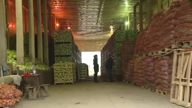 Iarna aceasta vom avea legume și fructe autohtone. Agricultorii au făcut investiții cu fondurile UE