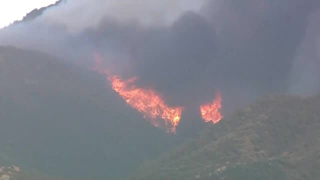 Animalele de la grădinile zoologice din California, evacuate din calea incendiilor