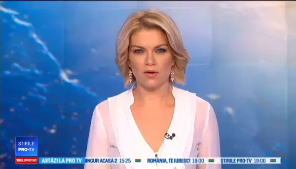 Un motan a ajuns la 3.000 km de casă după ce s-a speriat de artificii. Cu ce a călătorit