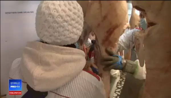 Românii consumă în medie 8 kg. de carne de porc în decembrie. Avertismentul nutriționiștilor