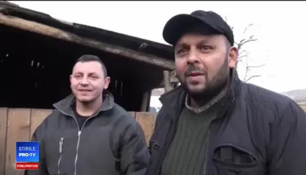 Crescătorii de porci din satele din Mureș își negociază marfa direct din gospodărie