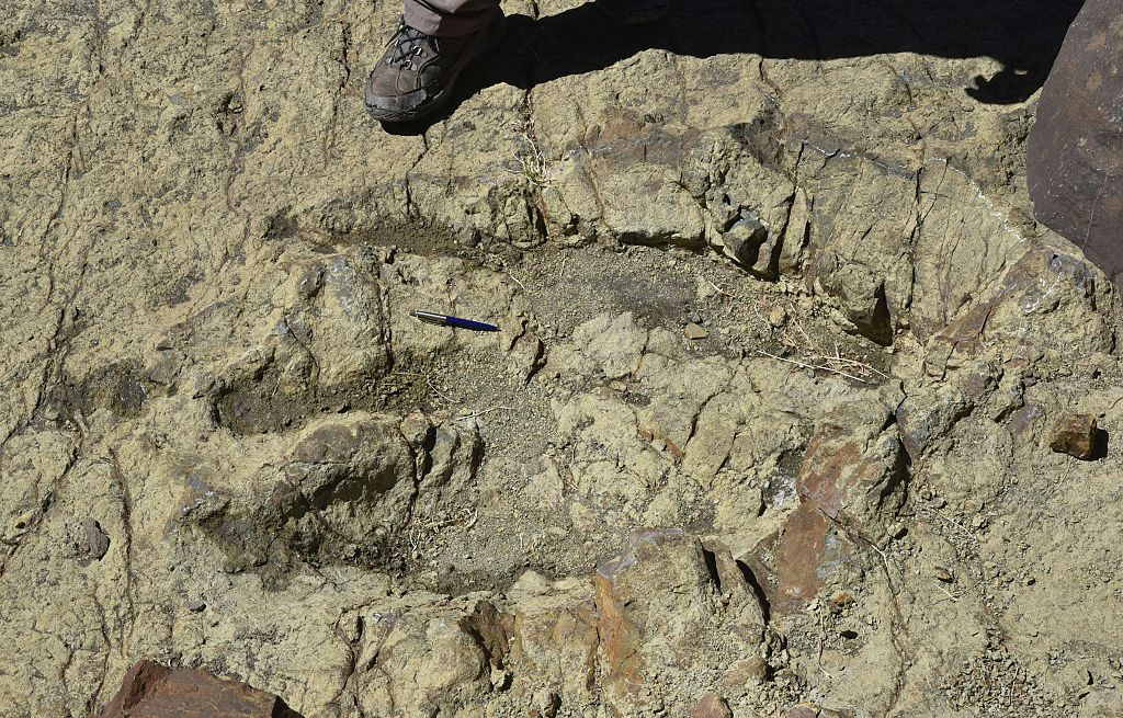 Descoperirea din "Valea Iadului" care ar putea rezolva misterul dispariţiei dinozaurilor