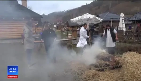 Tradiția tăierii porcului în ziua de Ignat, în Bucovina. Punem paie pentru șorici bun și cinstim porcul