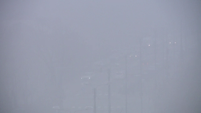 Cod Galben de ceață, în vestul țării. Un TIR a intrat într-o camionetă