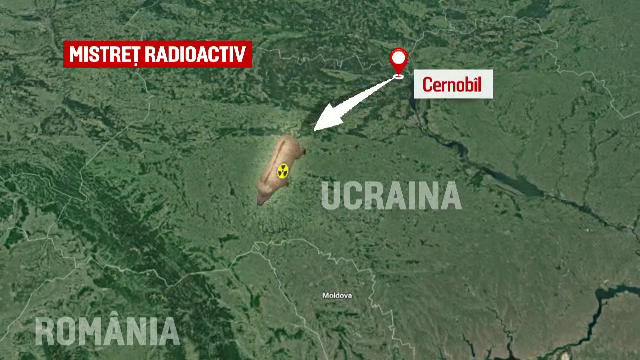 Explicațiile experților după ce un mistreţ radioactiv a fost împuşcat în Suceava