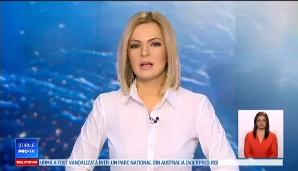 Brazii de Crăciun, afacere profitabilă pentru 3 hoți, care furau la comandă