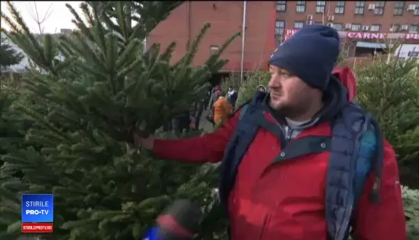 Adevăratele origini ale tradițiilor de Crăciun. Ce semnificatie are împodobirea bradului