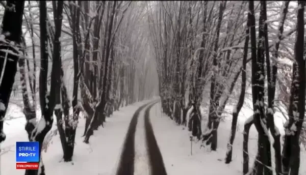 Crăciun cu stil la conace și castele, în Transilvania. Cazarea ajunge și la 120 de euro/ noapte