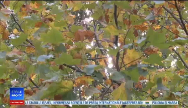 Horoscop 22 decembrie 2017. Zodiile care vor primi sume importante de bani înainte de sărbători