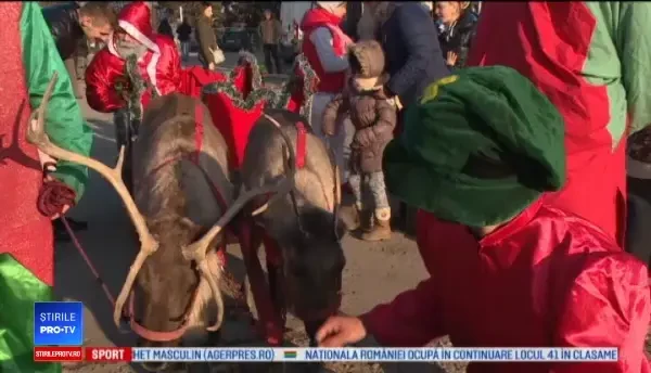 Renii, vedetele sezonului și o sursă bună de venit. Cât costă o plimbare cu sania lui Moș Crăciun