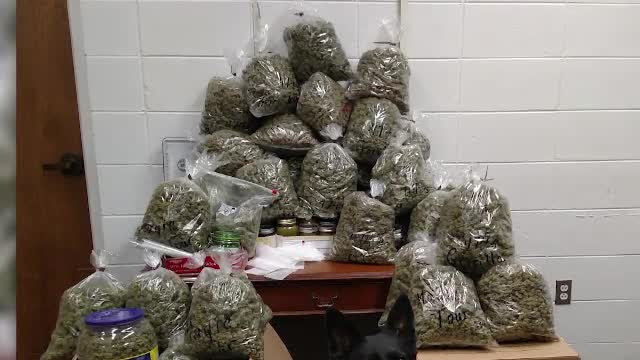Scuza inventată de doi bătrâni când au fost prinși cu 30 de kilograme de marijuana