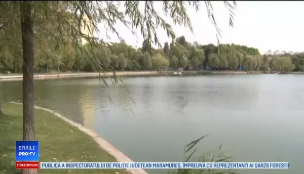 Horoscop 23 decembrie 2017. Planuri de căsătorie în ajun de Crăciun pentru aceste zodii