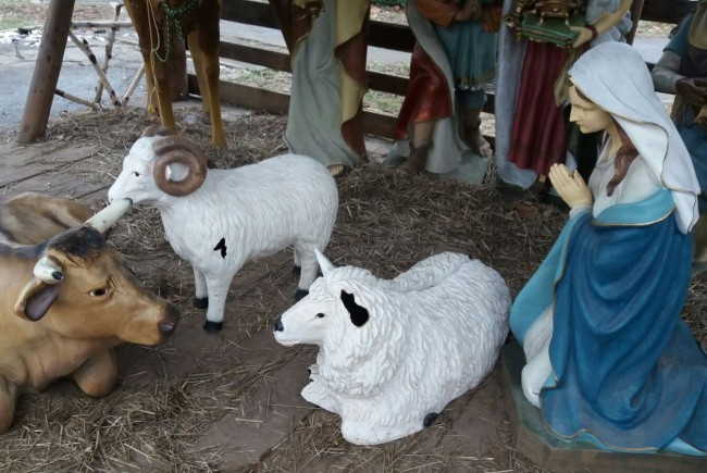 Statuetă cu Iisus, dispărută dintr-un aranjament și înlocuită cu o oaie. Autoritățile au venit cu explicații