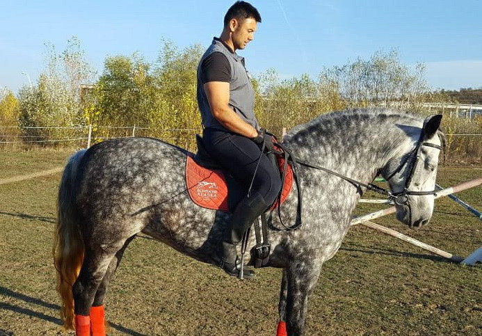 Un cal de rasă, estimat la peste 10.000 de euro, a fost furat. Proprietarul oferă recompensă pentru informații