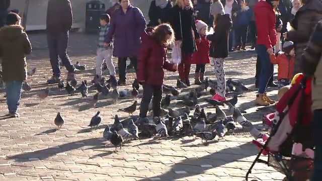 Vreme neobișnuit de caldă. De Crăciun, temperaturile au fost ca de .. Paște