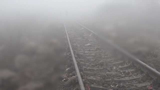 Măcel pe o cale ferată din Mureş. Aproape 100 de oi au fost ucise