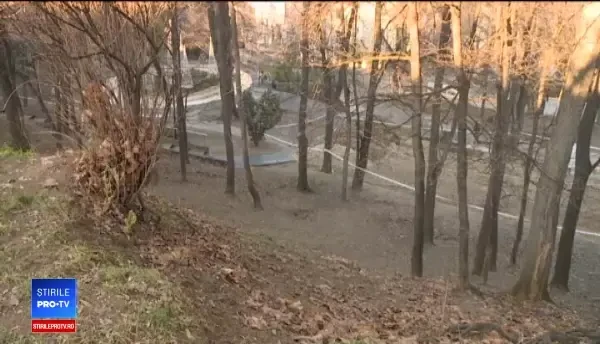 Șeful arhitecților din București o avertizează pe Gabriela Firea că în parcul Cotroceni se construiește ilegal un patinoar