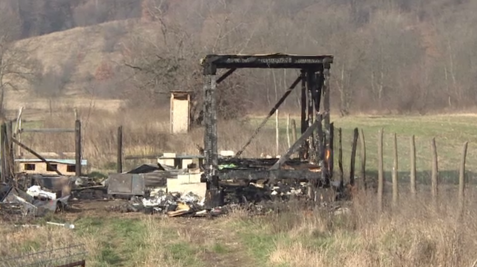 Dispariţie stranie în Gorj. Un bărbat și cei 15 câini ai lui, de negăsit în urma unui incendiu