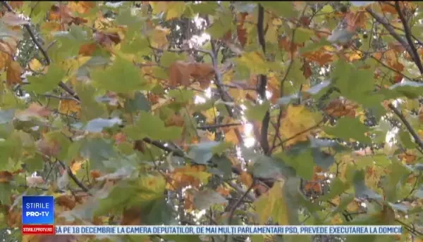 Horoscop 27 decembrie 2017: Zodia care va primi un cadou neașteptat