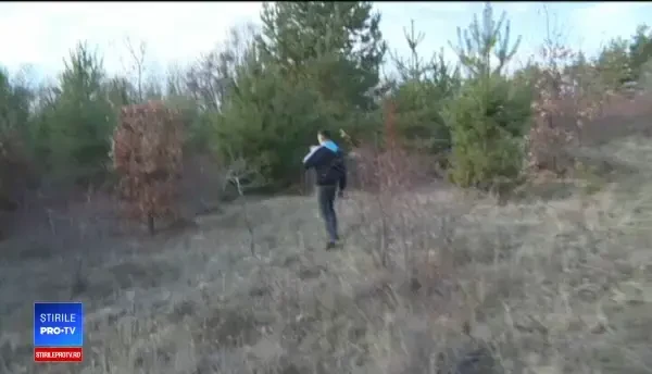 Dispariţie stranie în Gorj. Un bărbat și cei 15 câini ai lui, de negăsit în urma unui incendiu