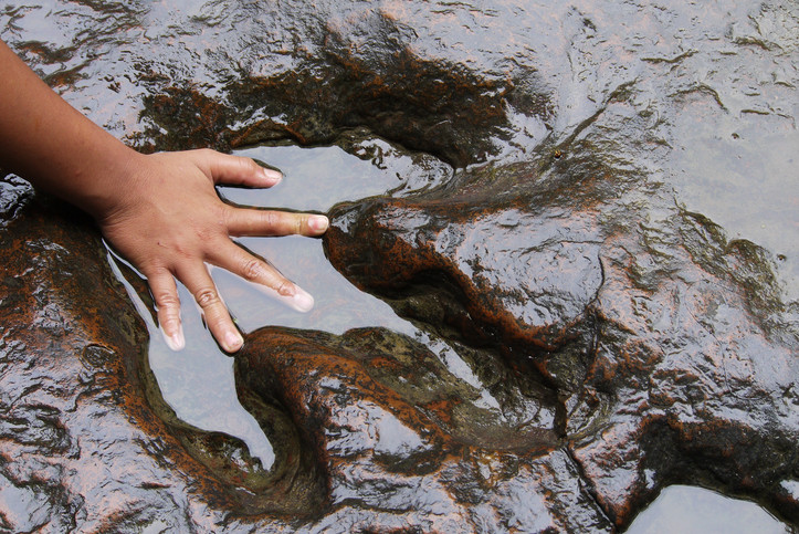 O echipă de muncitori din China ar fi descoperit ouă de dinozaur. FOTO