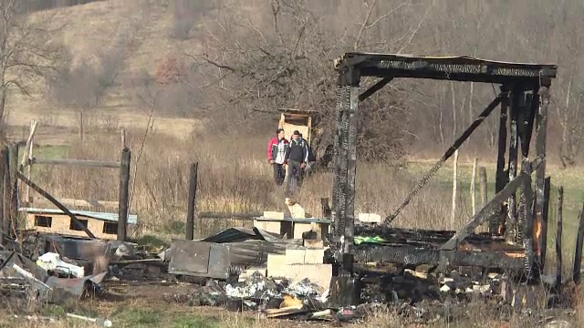 Bărbat care dispăruse de acasă cu cei 15 câini, găsit într-o pădure, după două zile