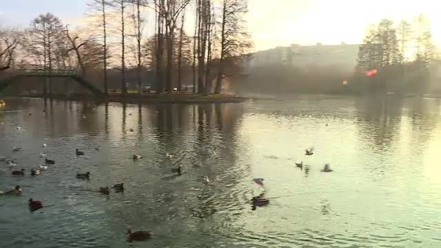 Cum va fi vremea de Revelion și în următoarele luni. Temperaturi mari și cer senin