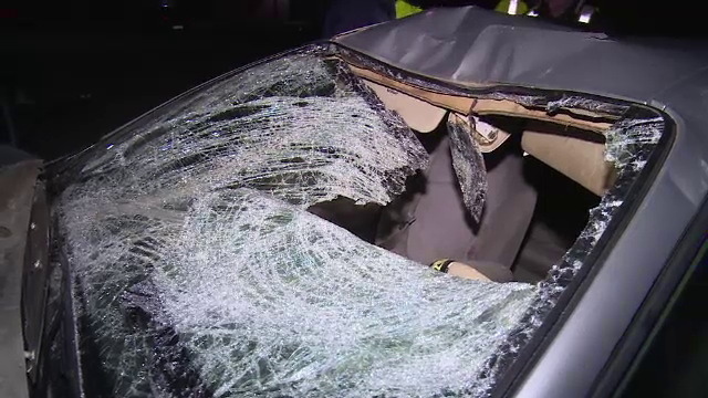 Accident provocat de un cal pe DN72A. În urma impactului, animalul a murit