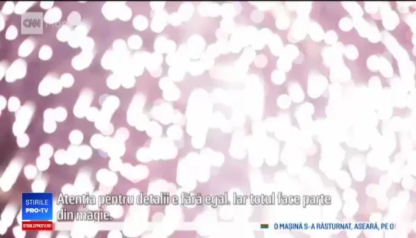 Pâinea viitorului, făcută din făină de greieri. Țara în care se poate găsi acest aliment