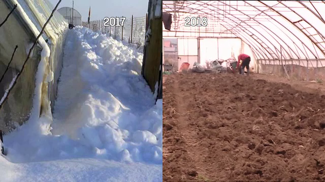 Temperaturi cu 12 grade mai mari față de cât ar fi normal: "Nu îngheaţă nici măcar apa”