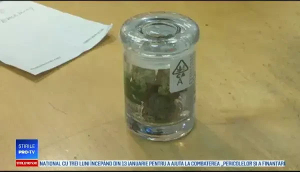 Tratamente cosmetice pe bază de cannabis, în California: Sporește relaxarea