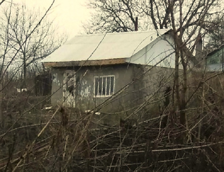 Sat din Vaslui, terorizat în noaptea de Revelion de un bărbat cu o furcă