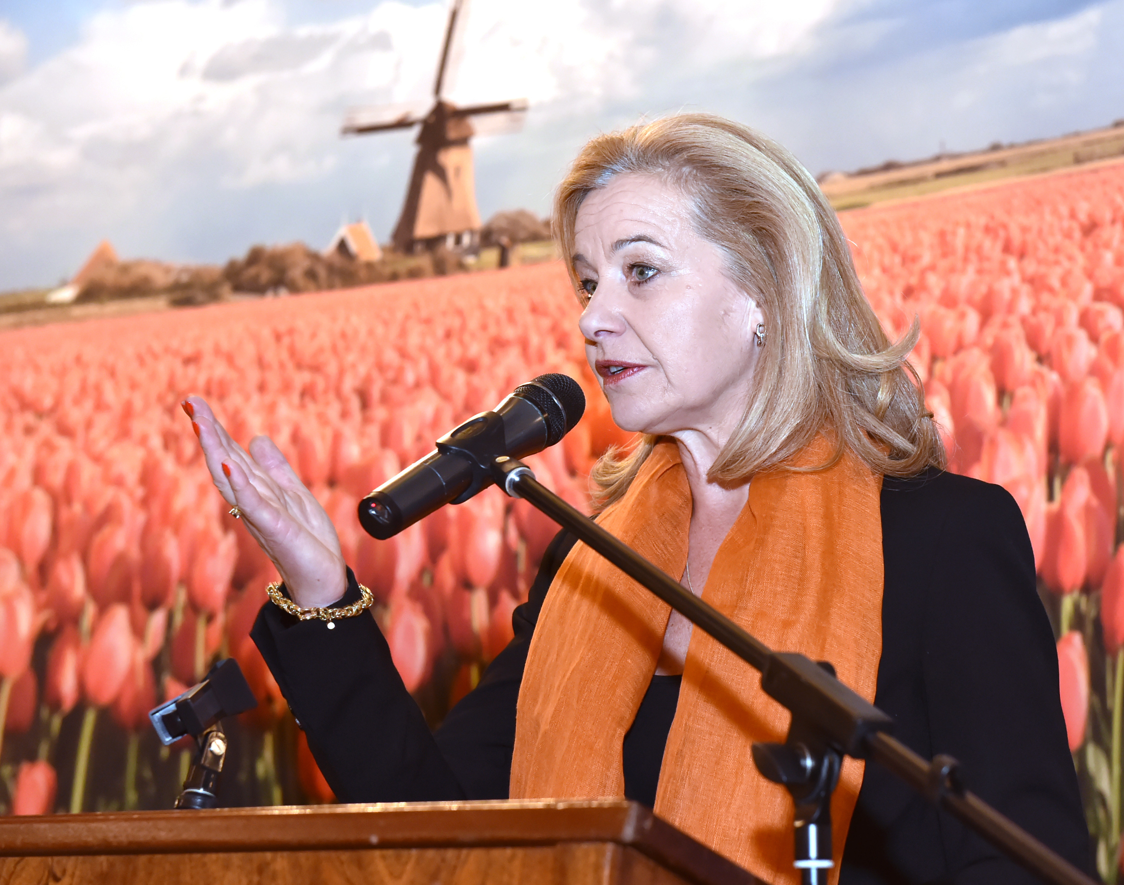 Ambasadoarea Olandei, fotografiată la masă cu Nelu Iordache, condamnat în prima instanţă. Ce spun oficialii olandezi