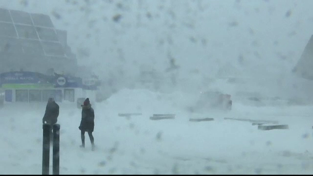 Un „ciclon-bombă” afectează America de Nord: școli închise, case fără curent și zboruri anulate