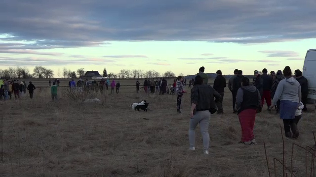 Ipoteza anchetatorilor privind moartea copilului de 2 ani din Suceava, găsit mort pe câmp