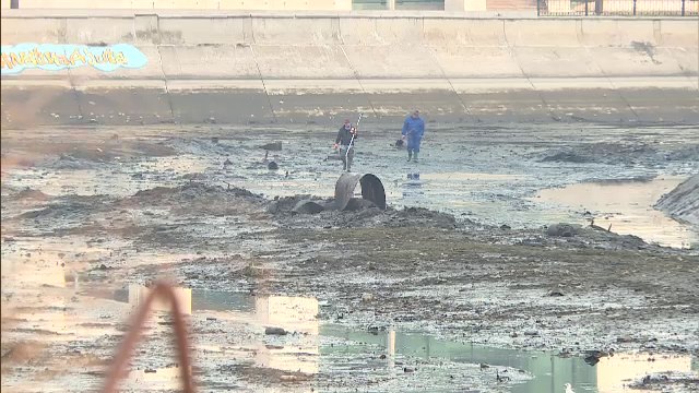 Operațiune de curățare a Dâmboviței, în Capitală. Cât au parcurs muncitorii în prima zi