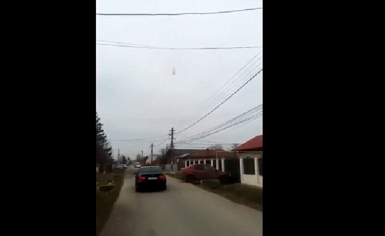 Cadavrul unui câine, aruncat pe cablurile electrice în Prahova. Cine ar fi de vină