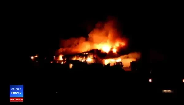 Incendiu uriaș la o fabrică de conserve din Topoloveni. Flăcările au pornit de la o friteuză industrială