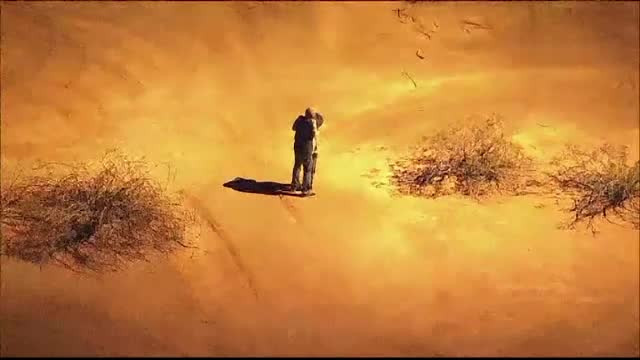 Gestul disperat făcut de un cuplu de hoţi, când au văzut că nu mai pot scăpa de poliţie