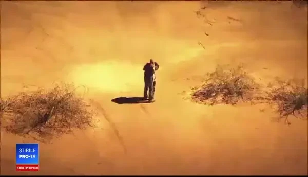 Gestul disperat făcut de un cuplu de hoţi, când au văzut că nu mai pot scăpa de poliţie