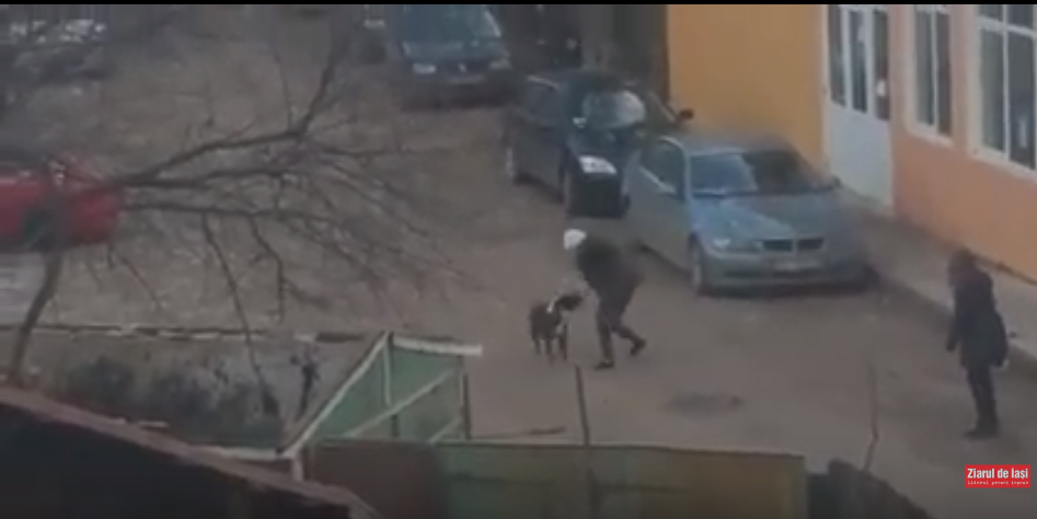 Trei persoane, rănite după ce au fost atacate de câini Amstaff. Bărbat mușcat în zona genitală