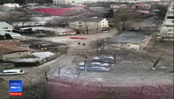 Trei persoane au ajuns la spital, după ce au fost atacate de câini de luptă, la Iași