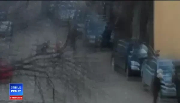 Trei persoane, rănite după ce au fost atacațe de câini Amstaff. Bărbat mușcat în zona genitală