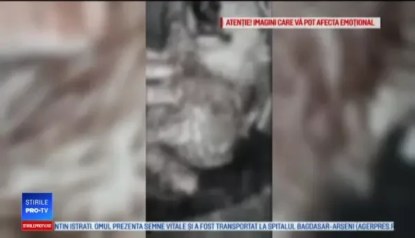 Anchetă deschisă în cazul câinelui împușcat, în prezența stăpânului