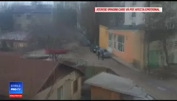 Bărbatul atacat de câinii de luptă a fost operat. Dosare penale pe numele proprietarei câinilor